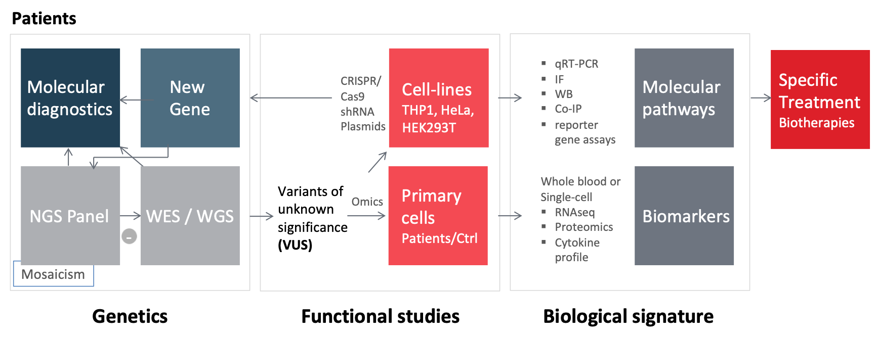 Figure1 - Autoinflammatory diseases - UMRS 933